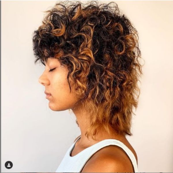  Curly Shag For Brown Hair With Caramel Brown Highlights