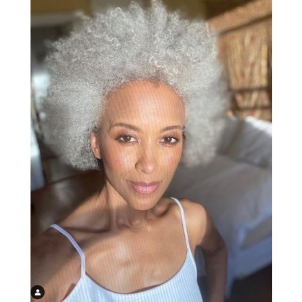 Silver Gray Afro Hairstyles For Older Women