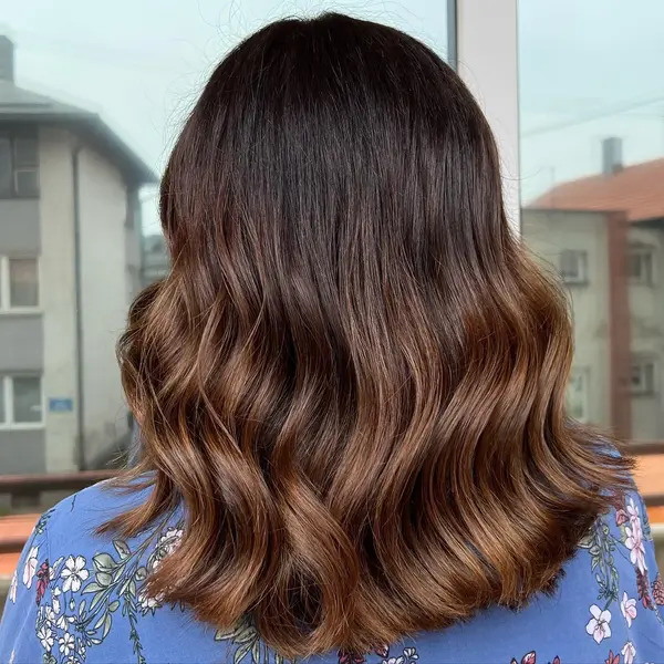 Dark Brown to Light Brown Ombre Hair - a woman in a back view