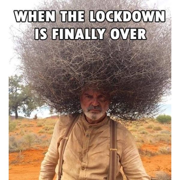 100+ Funny Quarantine Hairstyle Memes | Hairstyle Secrets ...