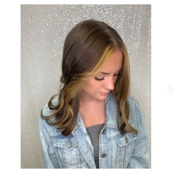  Smooth Long Brown Hair with Front Blonde Highlights
