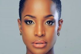 Brown Top Juice Cut with Side Part and Shaved Sides
