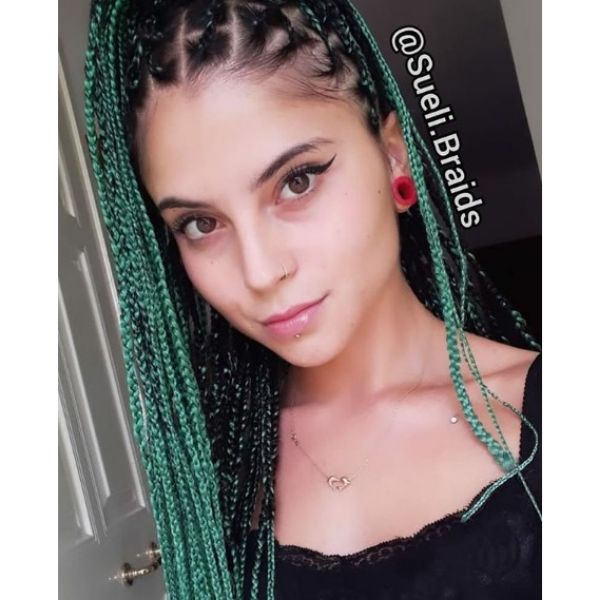 Green Afro Braids Easy Hairstyles for School