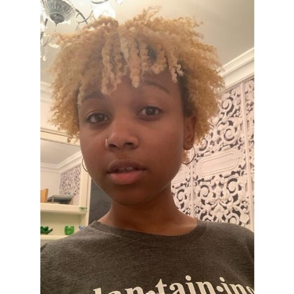 Blonde Twist-outs Short Hairstyle
