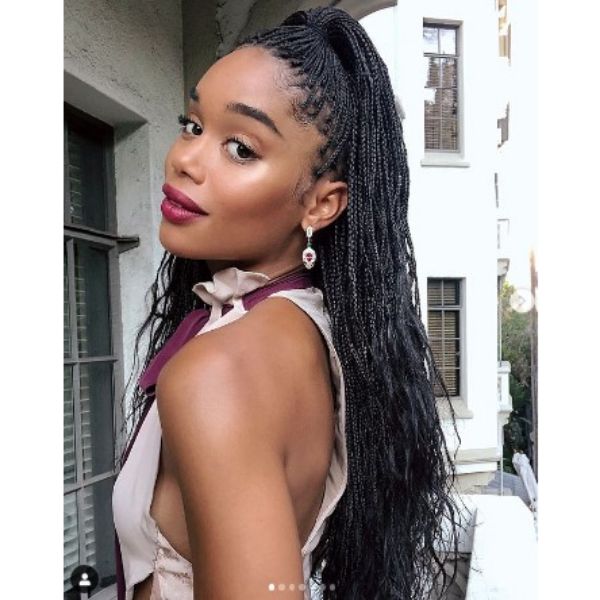 Protective Braids Hairstyle For Black Hair