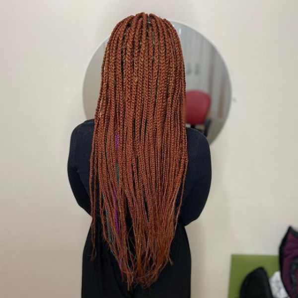 Long Copper Brown with Green and Purple Dreads -A woman facing a mirror Dreadlock Hairstyles