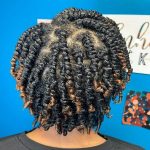 50 Natural Hairstyles for Black Women in 2022