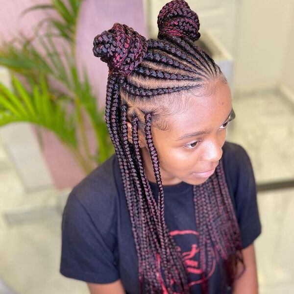 Half African Braid Hairstyle with Twin Buns