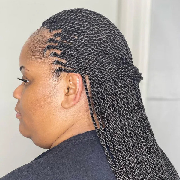 Senegalese Twists Natural Hairstyles for Women- a woman in a back view
