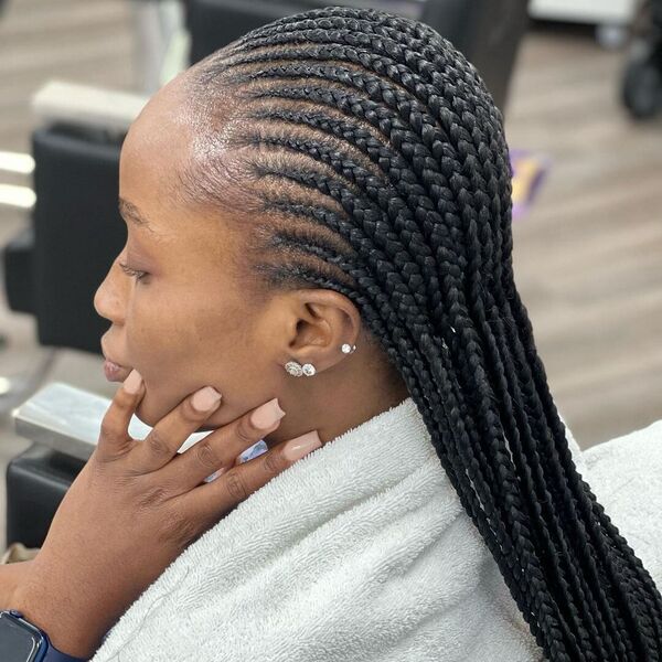 Straight Back Feed-ins Braids