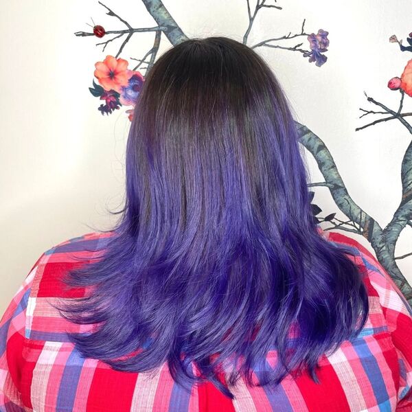 Dark Brown to Purple Ombre Hair - a woman in a back view