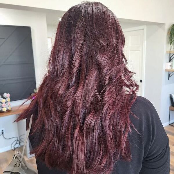 Dark Merlot Hair - a woman in a back view