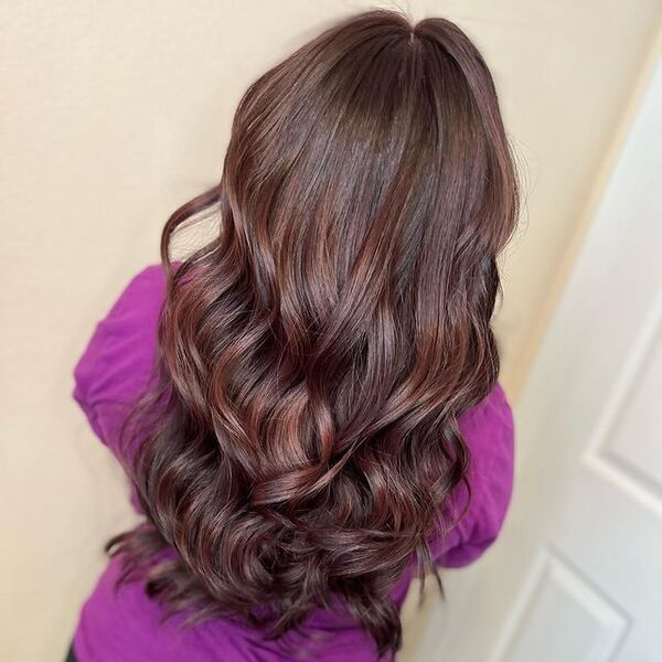 Dark Red Wine Burgundy Hair - a woman in a back view