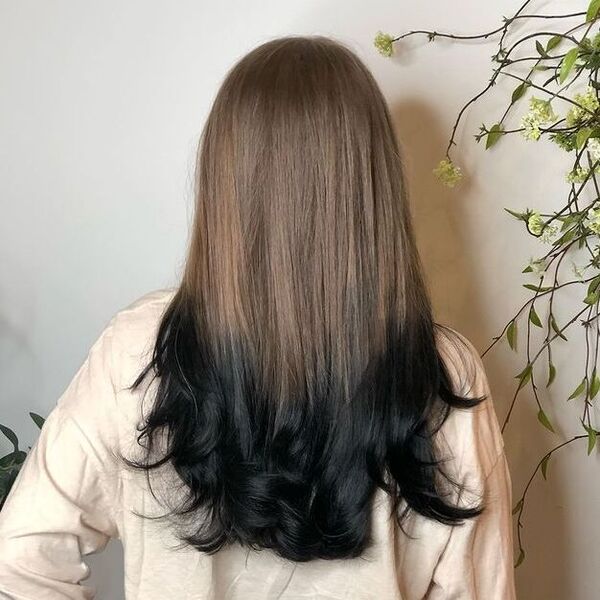 Reverse Ombre Brown Black Hairstyle - a woman in a back view
