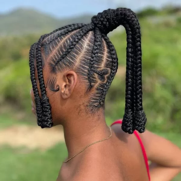 Detailed Knotless Braids Tied Up